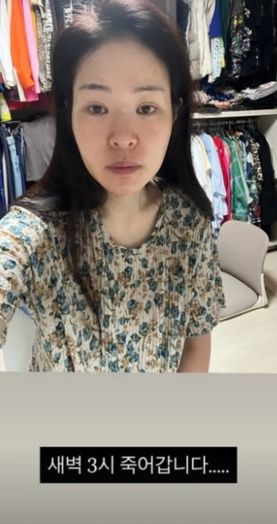 /사진=미자 SNS