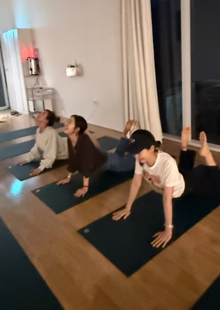 /사진=아난다 효리 계정