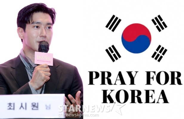 /사진=스타뉴스, SNS