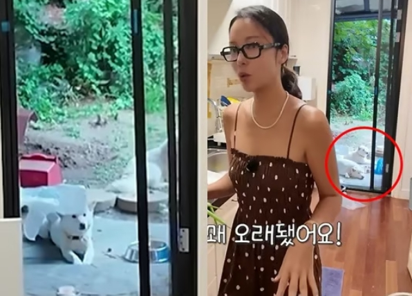 /Photo=Hwang Jung-eum YouTube video