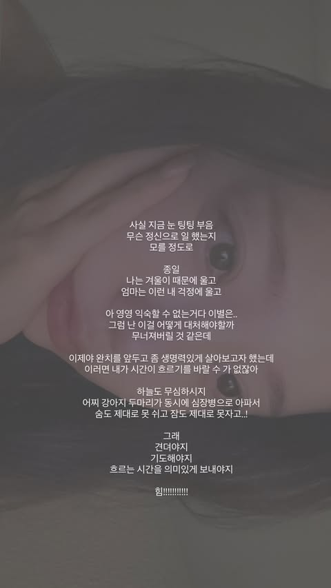 사진=이솔이 인스타그램