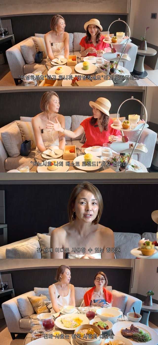 /사진=유튜브 채널 '야노시호'