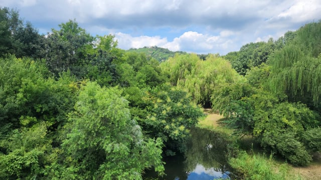 The wetland at Seoul Forest. In the distance, Eungbongsan Mountain is visible. In spring, cherry blossoms bloom vibrantly on Eungbongsan, offering an excellent view.