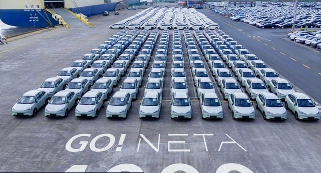 Neta EV has entered bankruptcy proceedings
