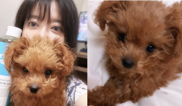/Photo=Koo Hye-sun SNS