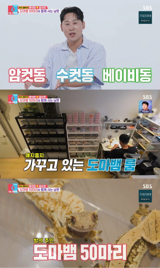 /사진 = SBS 동상이몽