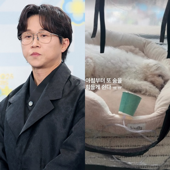 /Photo=NEWS1, Park Sung-kwang SNS