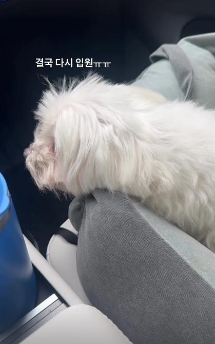 /Photo=Park Sung-kwang SNS