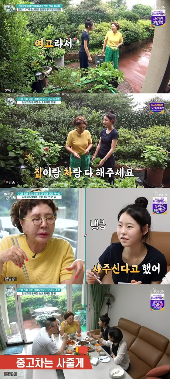 /사진=TV조선 '퍼펙트 라이프' 캡처