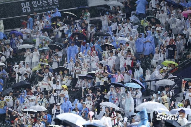 롯데 홈팬들이 29일 우천 중단된 부산 LG전 재개를 기다리고 있다. /사진=롯데 자이언츠 제공