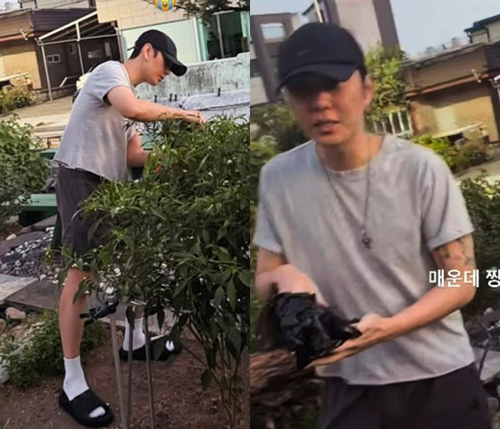 /照片=龙俊亨 SNS