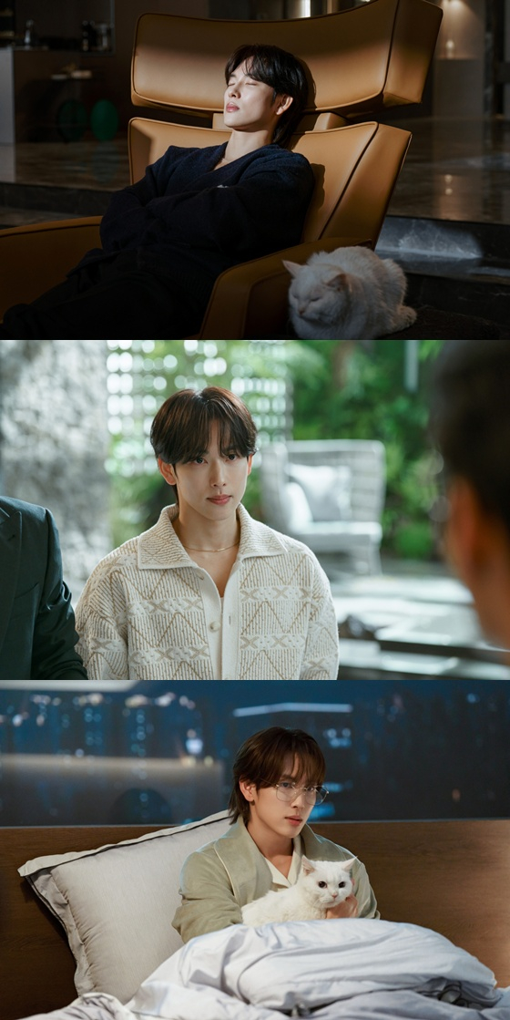 /图片=tvN《我的有罪人生》