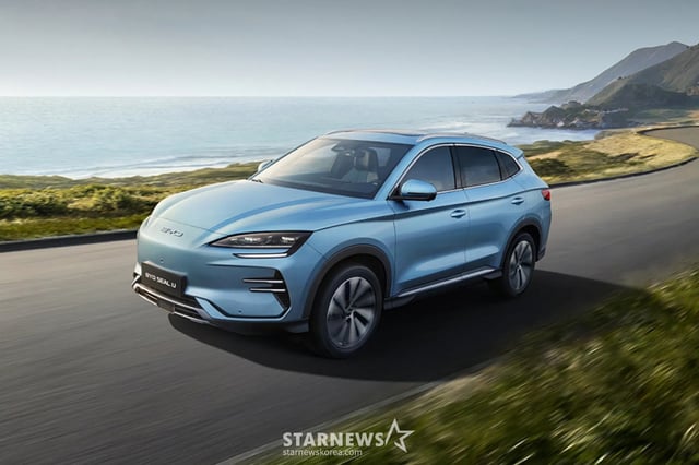 BYD 자동차