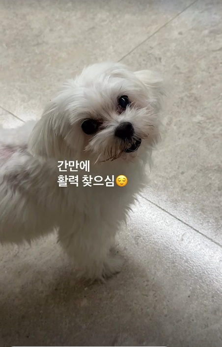/사진=박성광 SNS