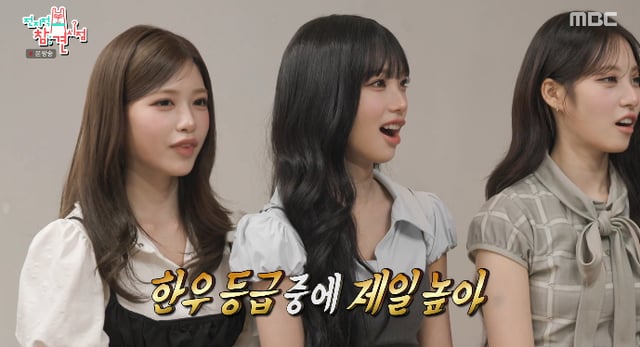 /사진=MBC '전지적 참견 시점' 방송화면