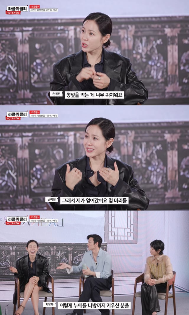 /사진 = 유튜브 '라이프플러스 TV'