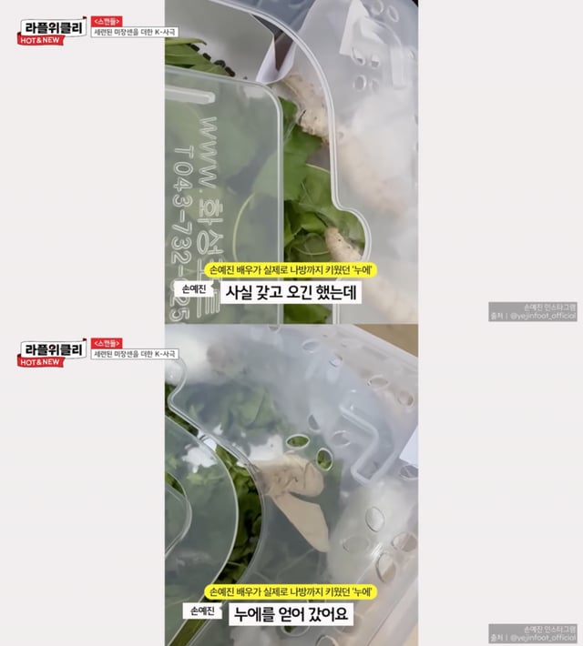 /사진 = 유튜브 '라이프플러스 TV'