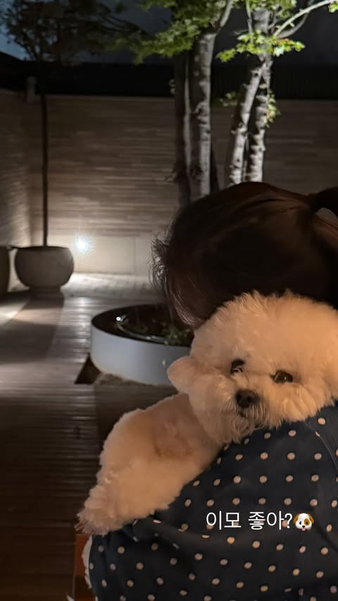 /Foto=Redes sociales de Song Hye-kyo