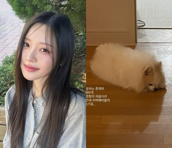 /사진=이솔이 SNS