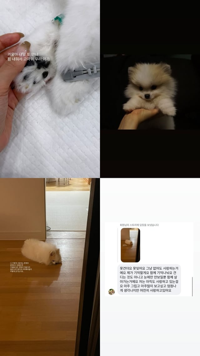 /사진=이솔이 SNS