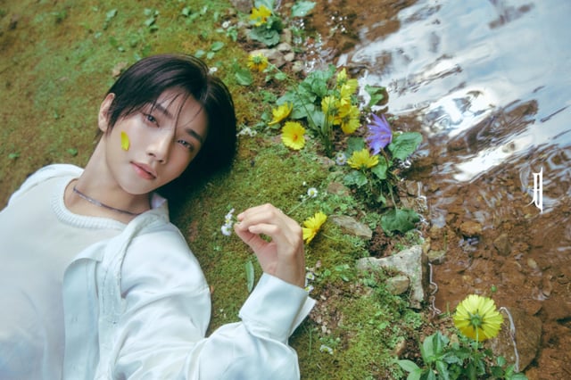 SEVENTEEN Joshua / Foto=Fedde Entertainment
