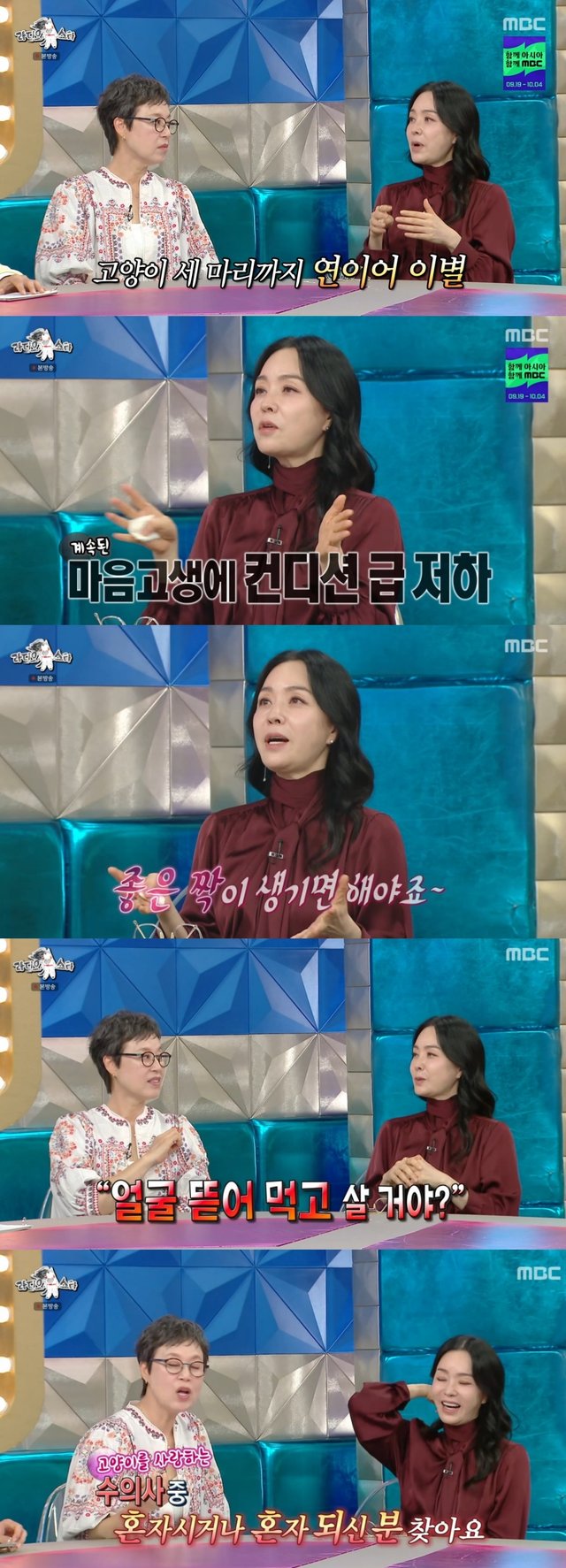 /图片=Radio Star
