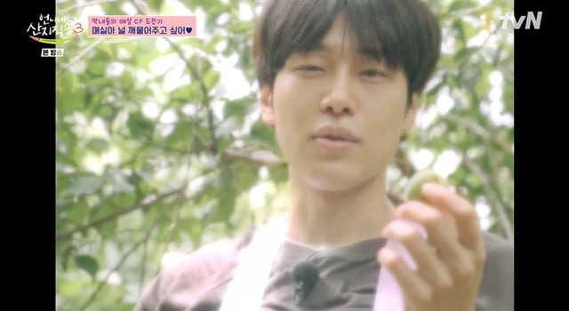 /사진=tvN '언니네 산지직송3'