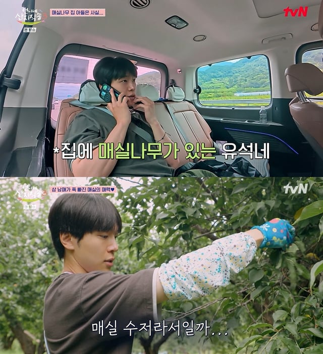 /사진=tvN '언니네 산지직송3'