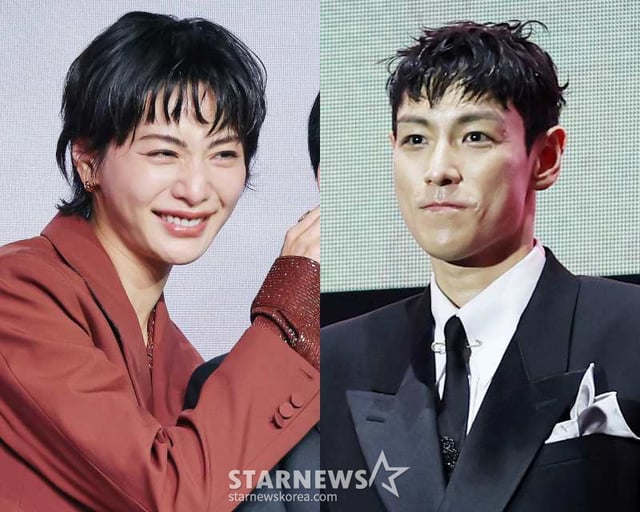 나나, 탑 /사진=스타뉴스
