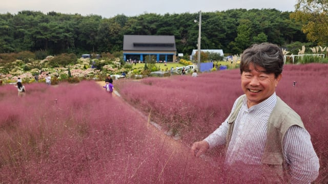 배태후 대표가 잘 자란 핑크뮬리를 어루만지며 활짝 웃음을 지었다.