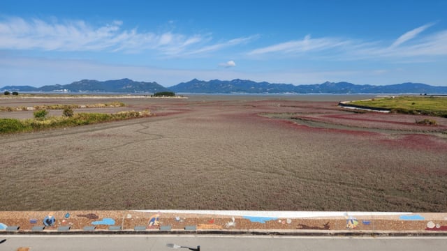 세계자연유산으로 지정된 광활한 람사르 고창갯벌