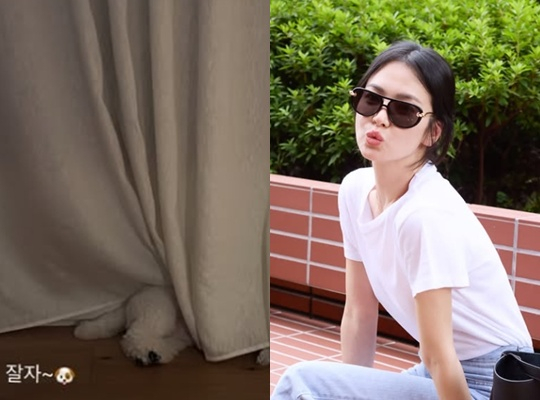 /사진=송혜교 개인계정