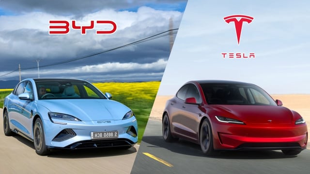 Тесла, BYD