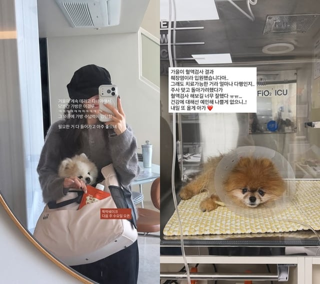 /Photo=Lee Sol-i's SNS