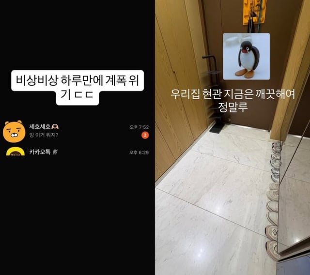/사진=정수지 운영 추정 인스타그램