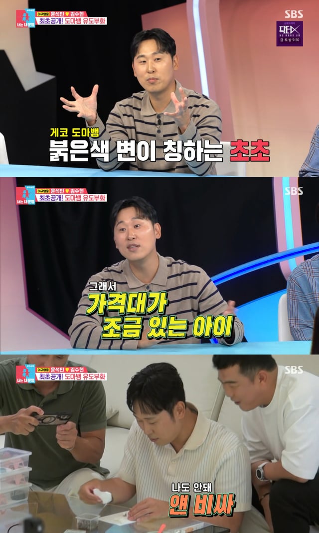 /图片 = SBS《同床异梦》