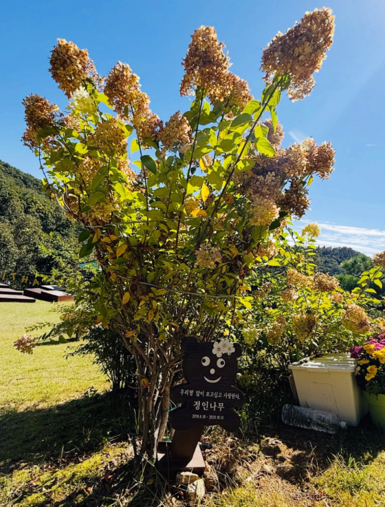Grave of the late Jeong-in / Photo=PD Lee Dong-won's SNS