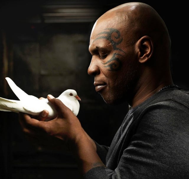 Mike Tyson holding a pigeon. /Photo=The Sun