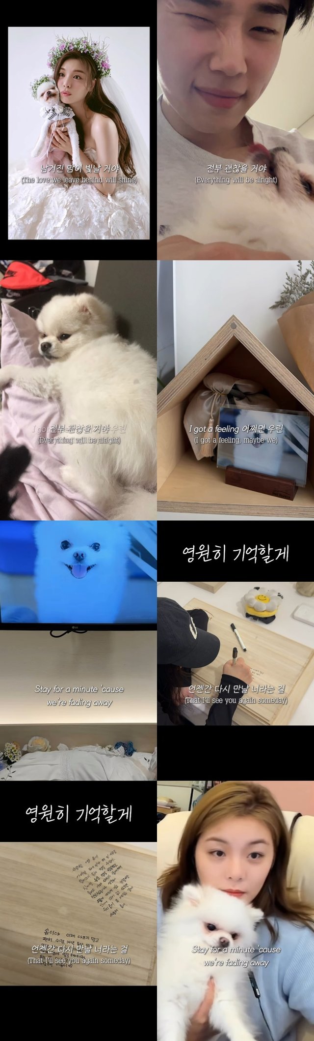 /사진=최시훈 SNS
