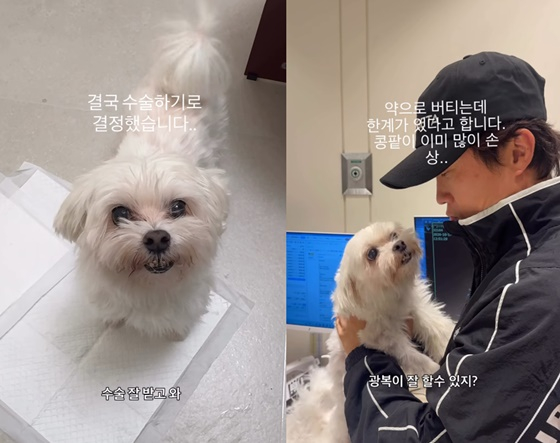 박성광과 그의 반려견 광복이/사진=박성광 SNS