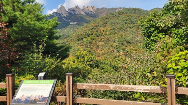 お盆展望台