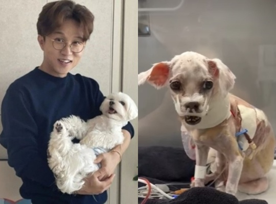 /사진=박성광 개인계정