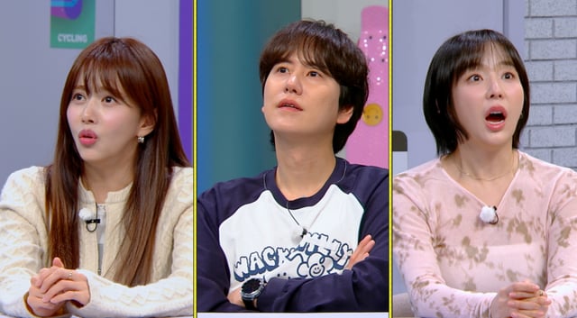 /图片提供=JTBC
