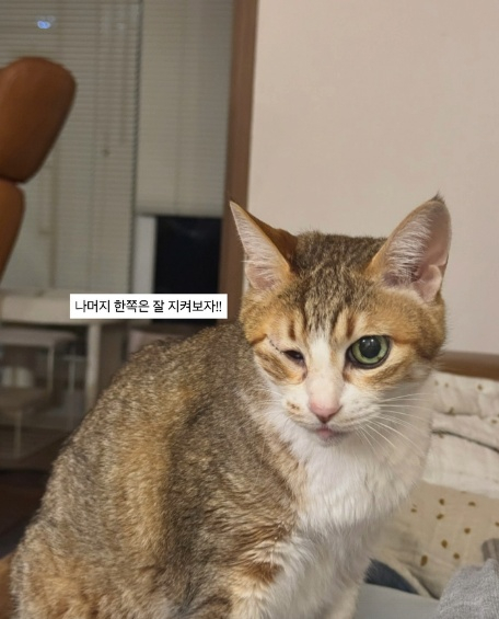 /사진=배다해 SNS