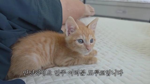 /Foto=DojangTV