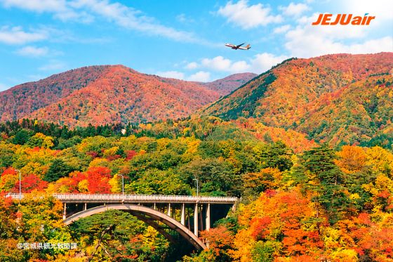 /Foto proporcionada por Jeju Air