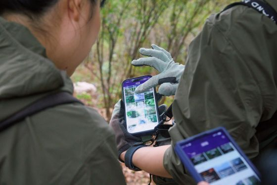 Corporación Nacional para el Desarrollo del Deporte_Foto de la operación del programa de exploración de la biodiversidad en el Parque Olímpico (aplicación NATURE링)/Foto=Corporación Nacional para el Desarrollo del Deporte