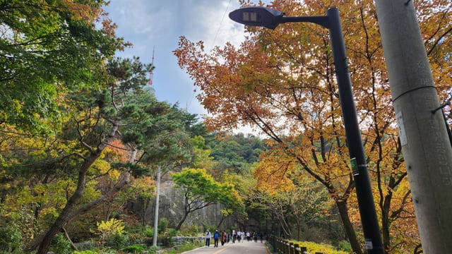 북측둘레길의 숲길