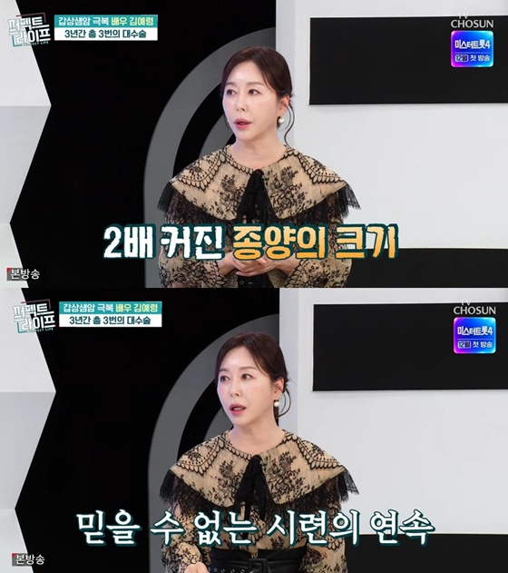/사진=TV조선 '퍼펙트 라이프' 캡처