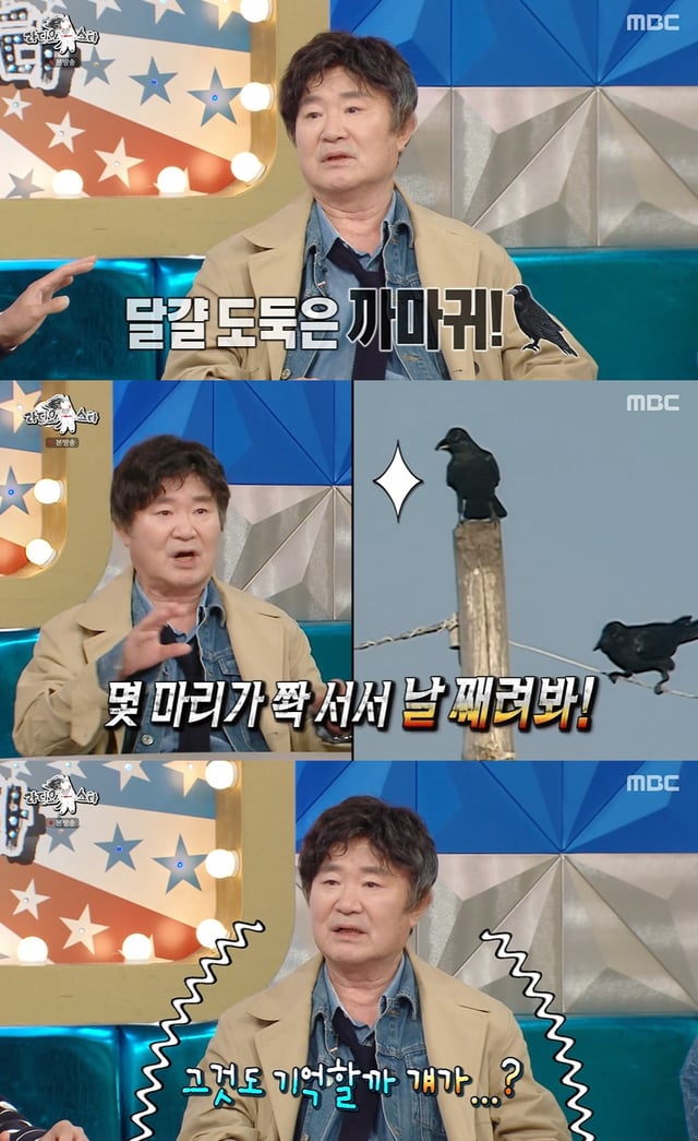 /Photo=MBC 'Radio Star'